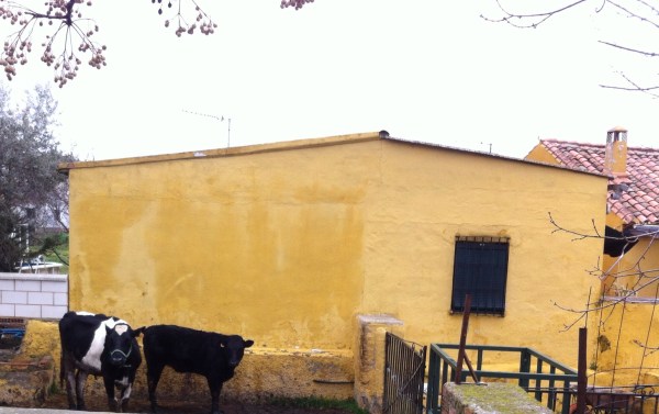 A little outside of the city, on our walk home